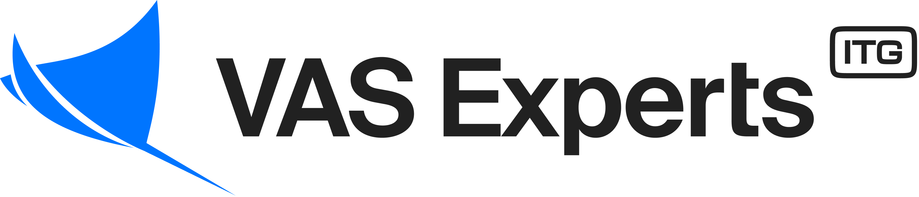 VAS Experts