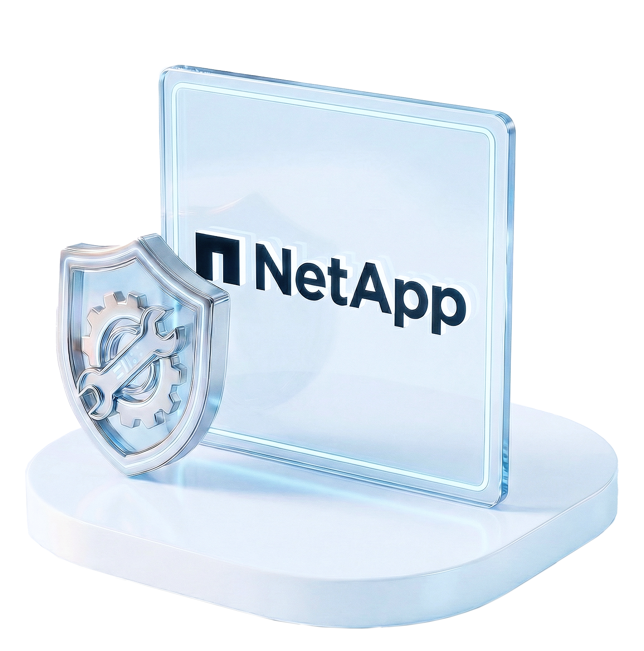 Техническая поддержка NetApp